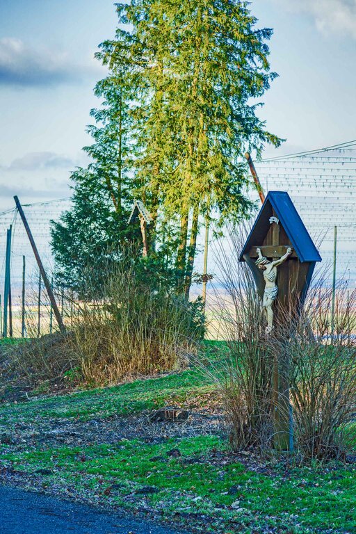 Image: 16_JA_3288 Huber, Hopfengarten.jpg